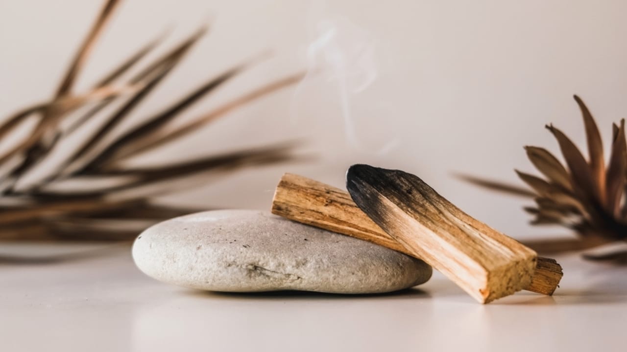 13 Plants with Deep Spiritual Meaning in Native American Cultures 15 13 Plants with Deep Spiritual Meaning in Native American Cultures - Palo Santo sticks ss2385569149