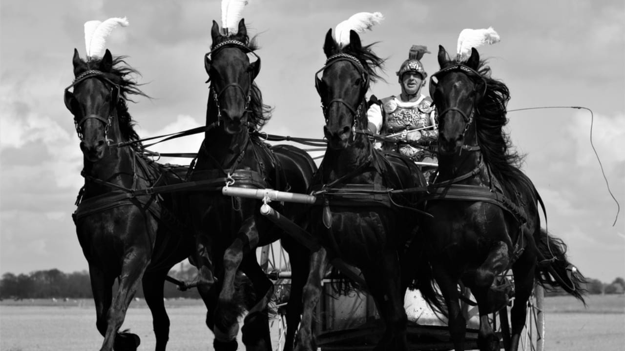 12 Friesian Horse Facts That Will Completely Change How You See Them 12 12 Friesian Horse Facts That Will Completely Change How You See Them - Powerful friesian horses chariot drive ss2394625833