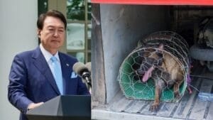 South Korea Votes to End Dog Meat Industry by 2027 with 500,000 Dogs for Rehoming 1 South Korea Votes to End Dog Meat Industry by 2027 with 500,000 Dogs for Rehoming - President Yoon Suk Yeol of the Republic of Korea ss2303469395