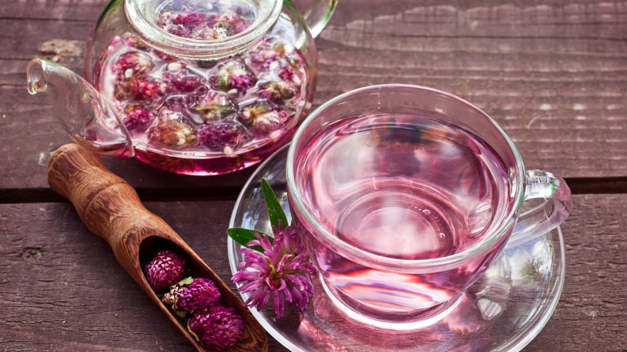 10 Health Perks of Red Clover for a Stronger You 3 10 Health Perks of Red Clover for a Stronger You - Red Clover tea ss1032171712