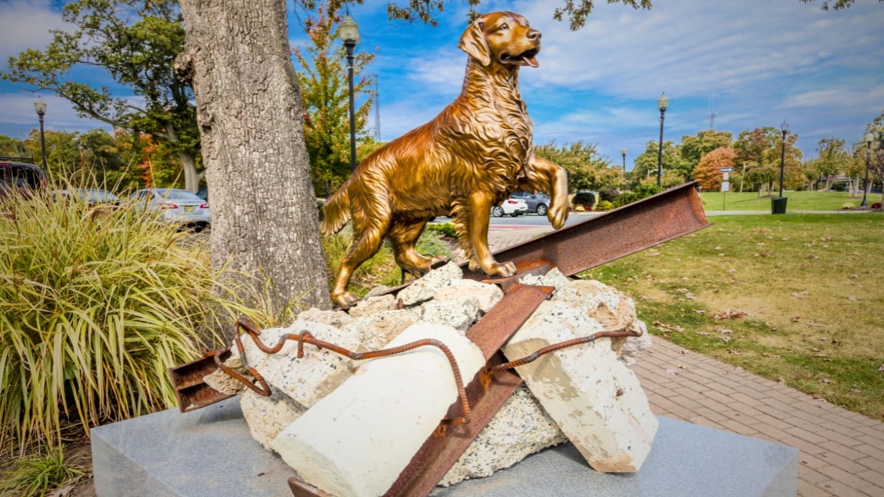 When Your Dog Dies at Home: 10 Steps Every Owner Should Know 12 When Your Dog Dies at Home: 10 Steps Every Owner Should Know - Search and Rescue Dogs 911 ss636166481 degm