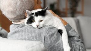 18 Ways to Help Your Senior Cat Thrive in Their Golden Years 1 18 Ways to Help Your Senior Cat Thrive in Their Golden Years - Senior woman with cute cat ss2379226831