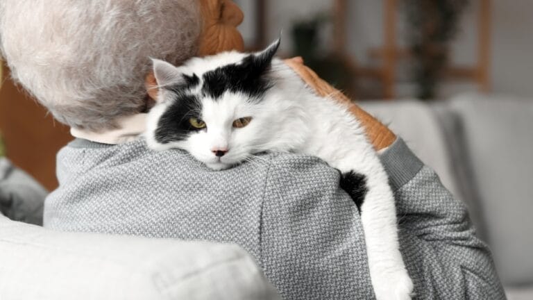 18 Ways to Help Your Senior Cat Thrive in Their Golden Years 1 18 Ways to Help Your Senior Cat Thrive in Their Golden Years - Senior woman with cute cat ss2379226831