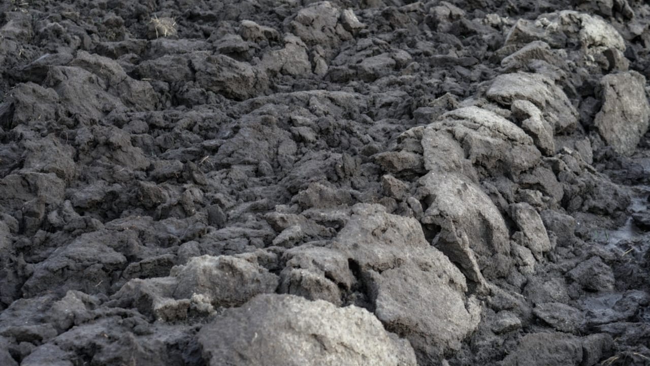 Investigation Shows the Spread of ‘Forever Chemicals’ in Agriculture Through Sewage Sludge 6 Investigation Shows the Spread of ‘Forever Chemicals’ in Agriculture Through Sewage Sludge - Sludge agricultural field farming ss2170994373