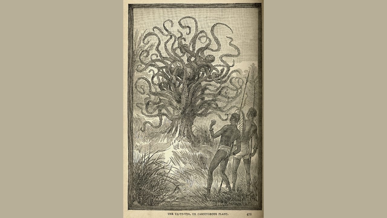 Man-Eating Plants: The Twisted Journey from Fiction to Fascination 2 Man-Eating Plants: The Twisted Journey from Fiction to Fascination - The ya te veo wiki