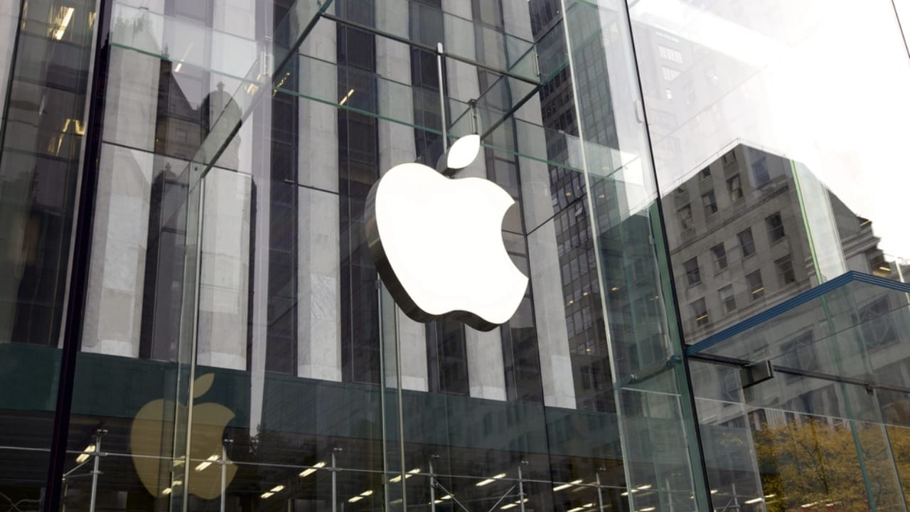 18 Stores Where Your Dog Gets VIP Treatment - The Apple Store dp45177201