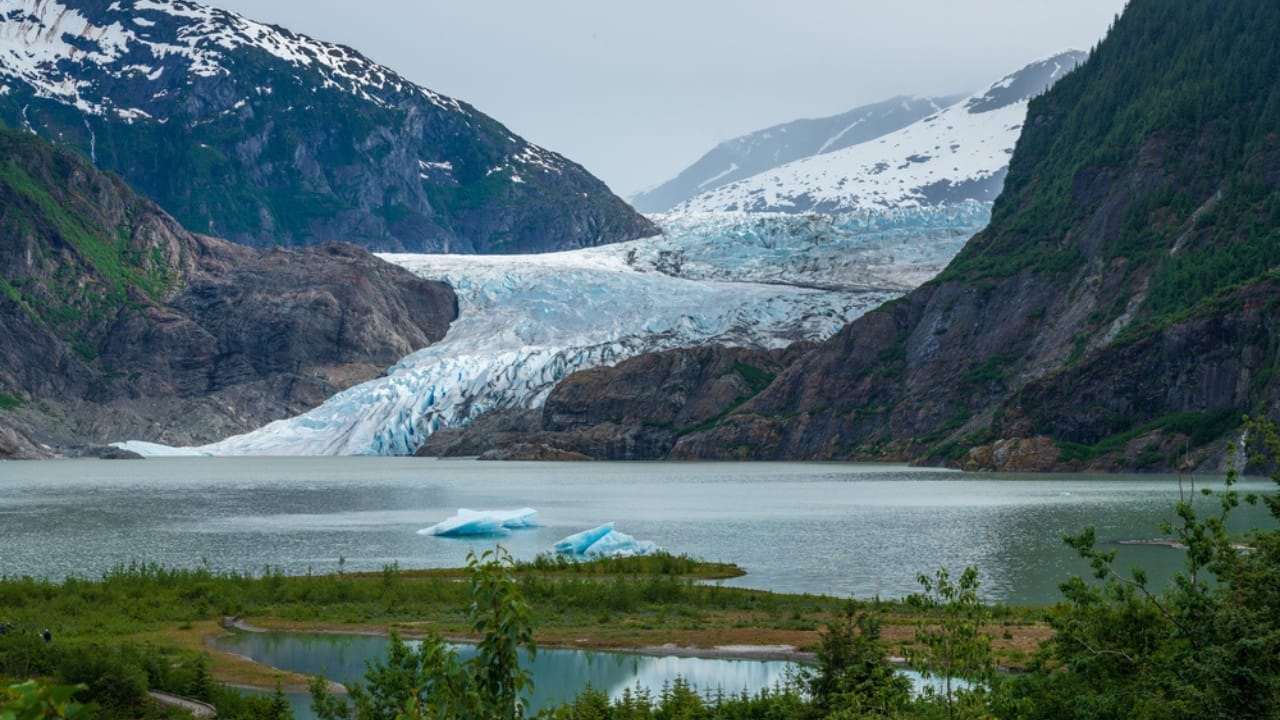 14 Ancient Forests That Were Here Long Before Homo sapiens 12 14 Ancient Forests That Were Here Long Before Homo sapiens - Tongass National Forest Alaska USA dp591203918
