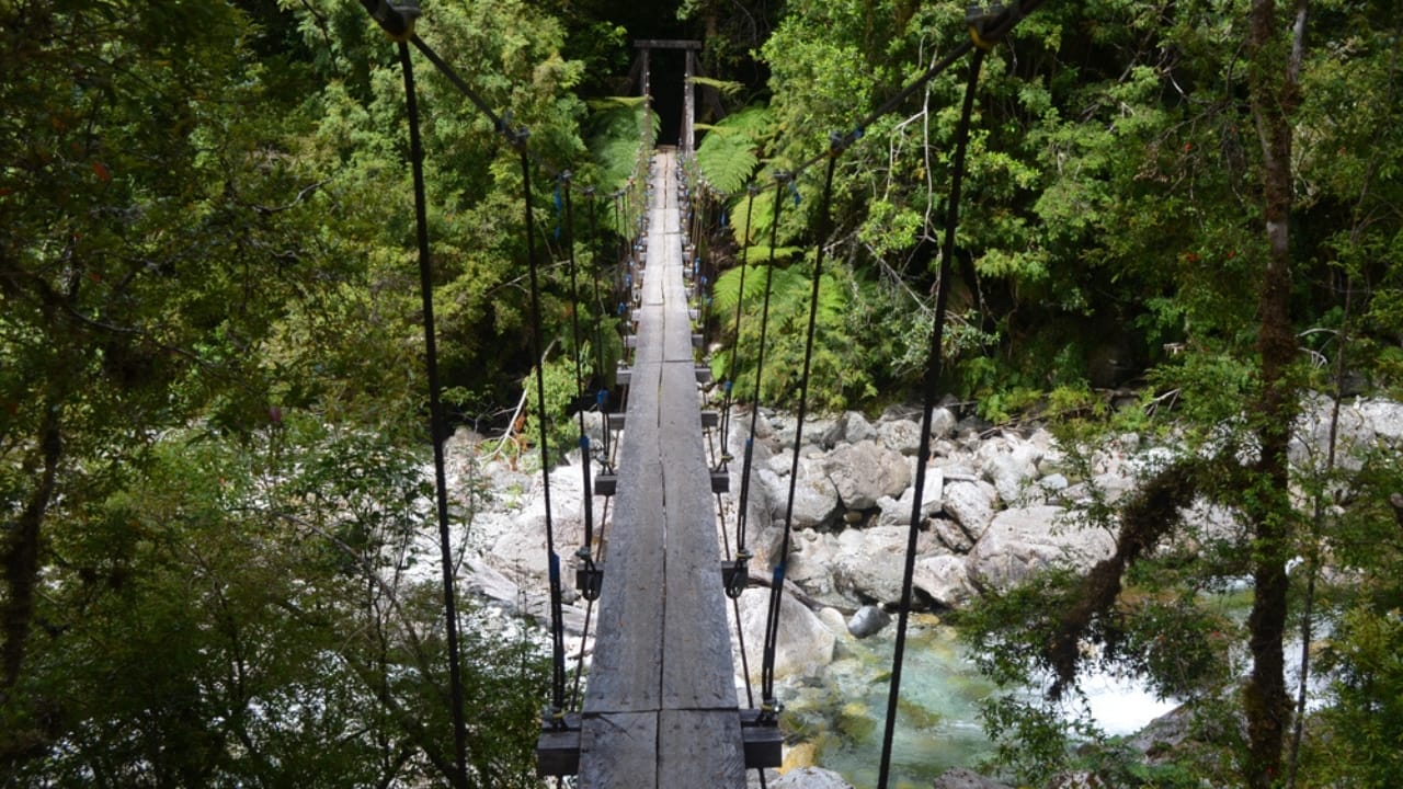 14 Ancient Forests That Were Here Long Before Homo sapiens 7 14 Ancient Forests That Were Here Long Before Homo sapiens - Valdivian Temperate Rainforest Chile dp195946956