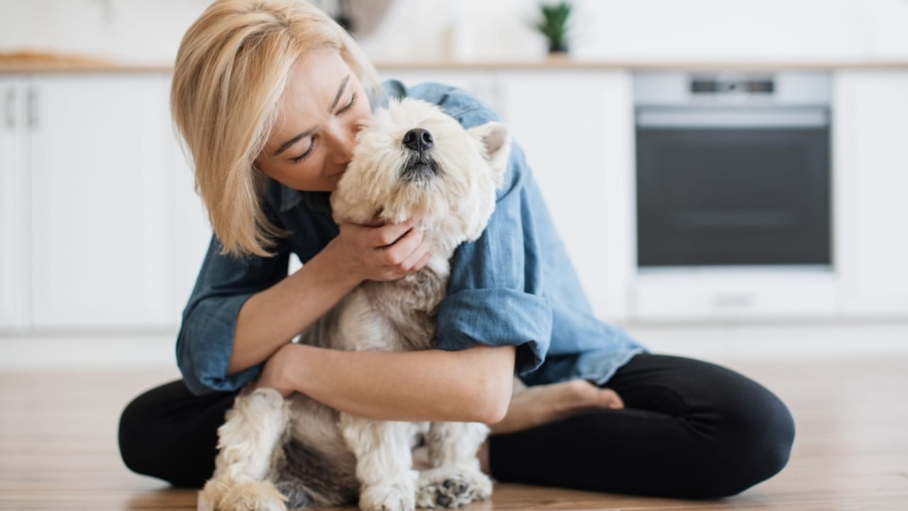 10 Hard Truths Every Potential Westie Owner Needs to Know 8 10 Hard Truths Every Potential Westie Owner Needs to Know - Woman Hugging West Highland White Terrier ss2313414631