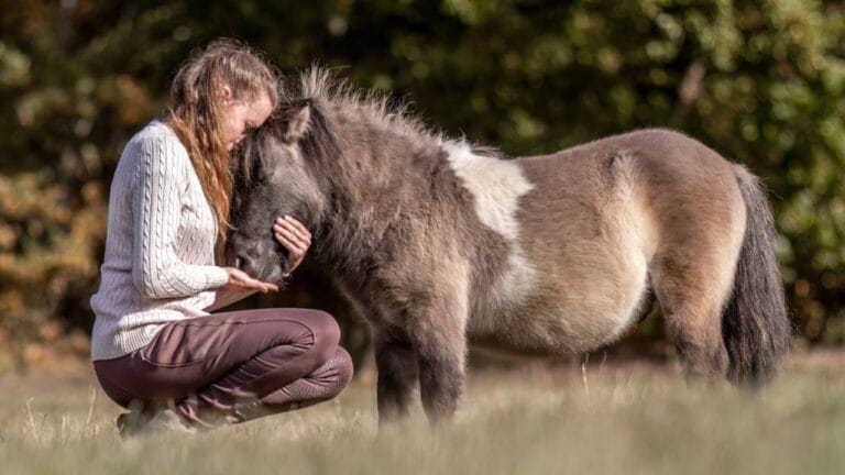 15 Ways Miniature Horses Prove They’re the Cutest with the Biggest Hearts 5 15 Ways Miniature Horses Prove They’re the Cutest with the Biggest Hearts - Women hugging miniature pony ss2386286403