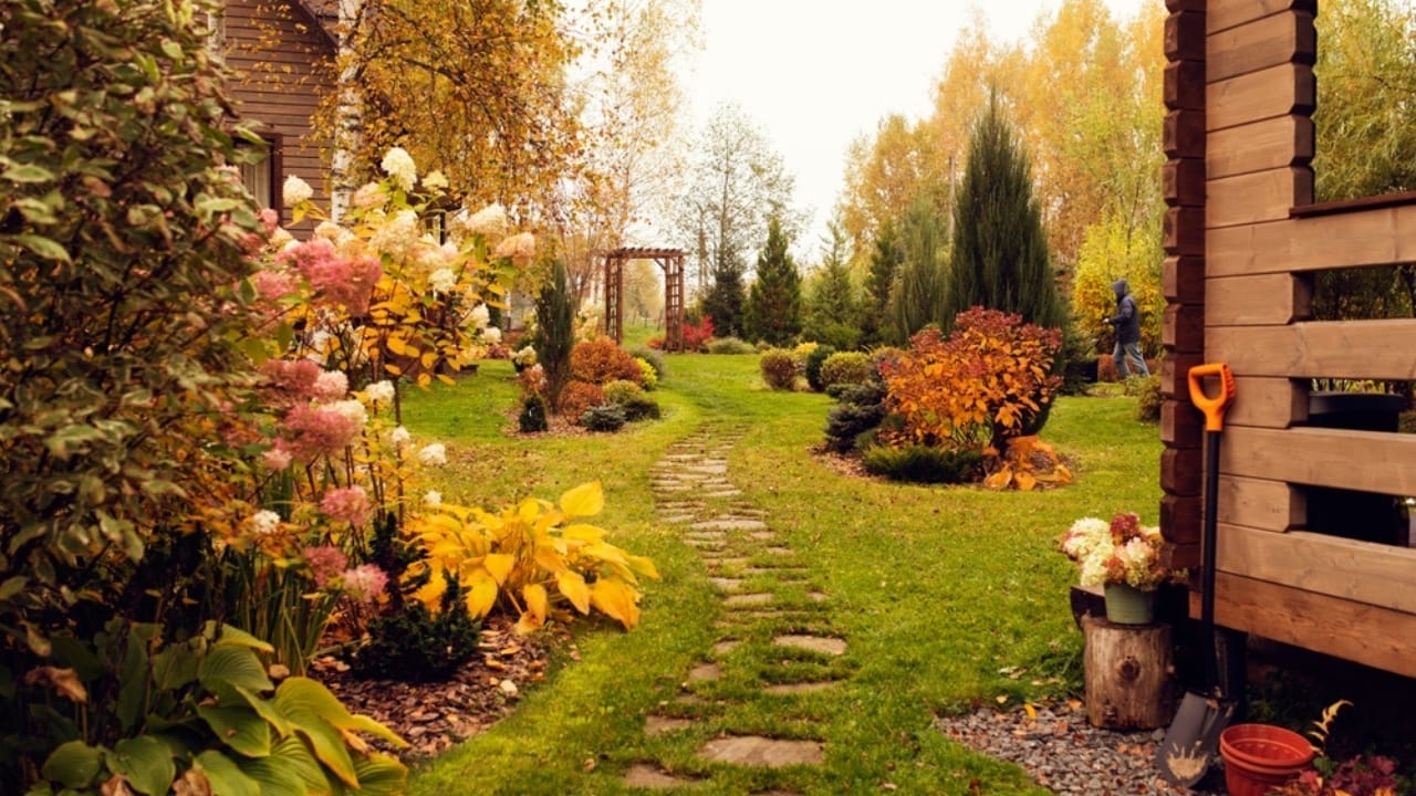 Front Yard Upgrades: 25 Simple Landscaping Ideas That Add Value - autumn garden ss2326408265