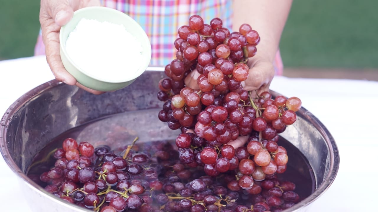 The Baking Soda Trick for Pesticide-Free Grapes - 10 Step Guide 5 The Baking Soda Trick for Pesticide-Free Grapes - 10 Step Guide - baking soda grapes ss2368135337