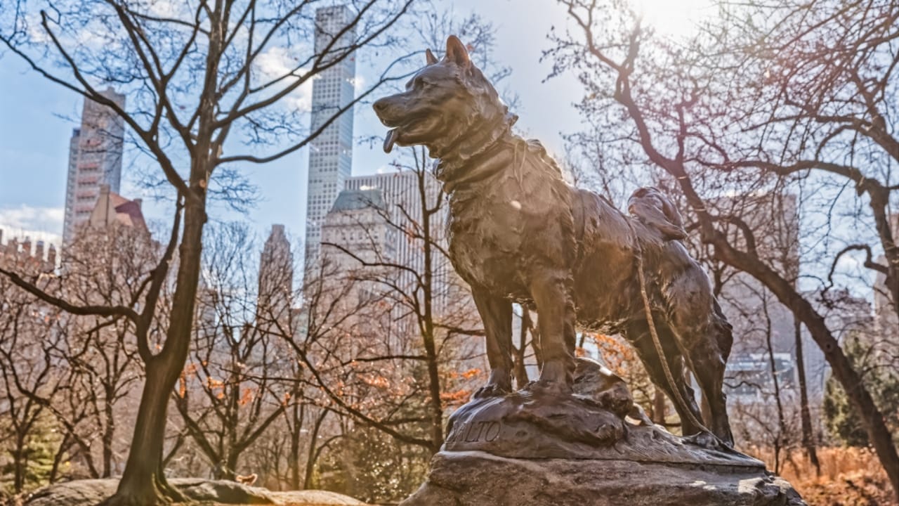 14 Wild Animals That Became Global Sensations 9 14 Wild Animals That Became Global Sensations - balto dog sculpture ss1435972907