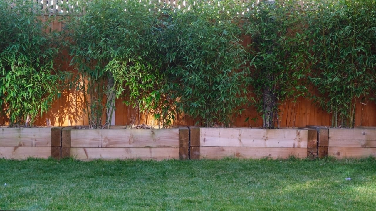 12 Clever Ideas for Turning Short Fences into Privacy Barriers 5 12 Clever Ideas for Turning Short Fences into Privacy Barriers - bamboo screening fences ss2115085310
