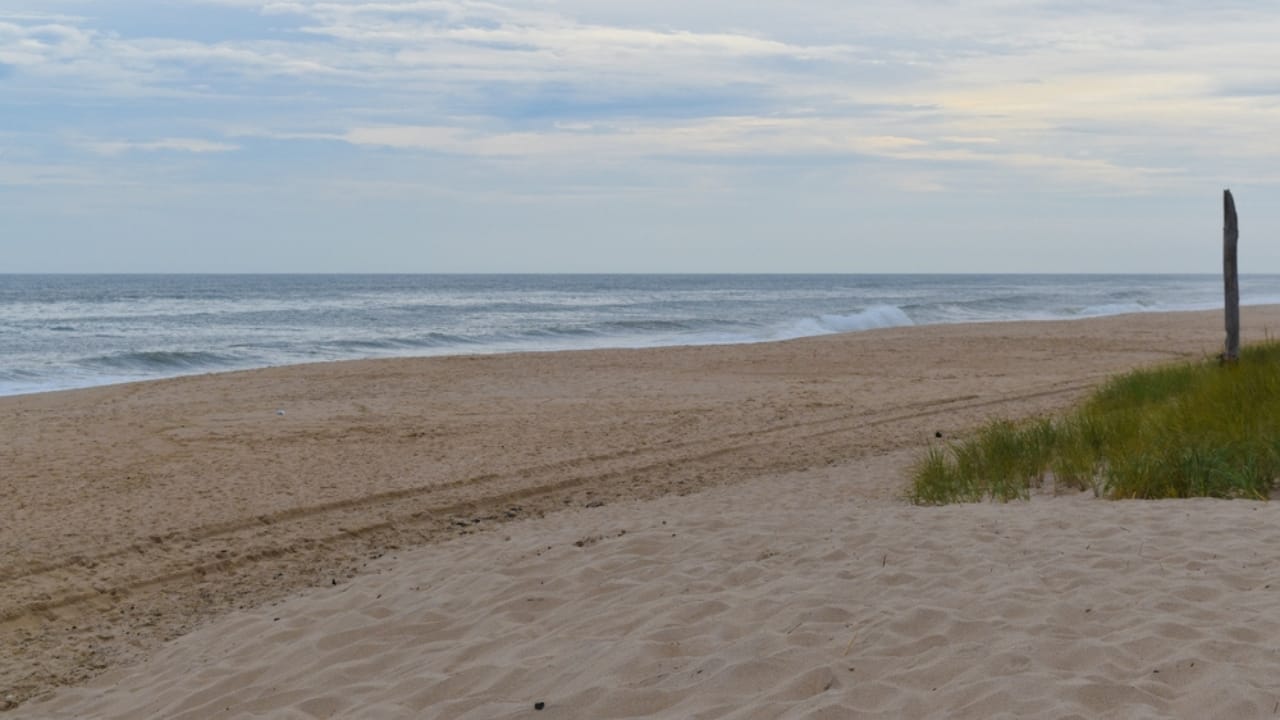 16 Unexpected Places to Find Water in an Emergency 14 16 Unexpected Places to Find Water in an Emergency - beach wells ss2209289209