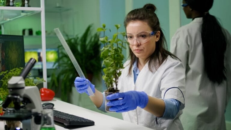Scientists Grow a 'Lost' Biblical Tree from a 1,000-Year-Old Seed 5 Scientists Grow a 'Lost' Biblical Tree from a 1,000-Year-Old Seed - botanist researcher botany experiment laboratory ss1968744238