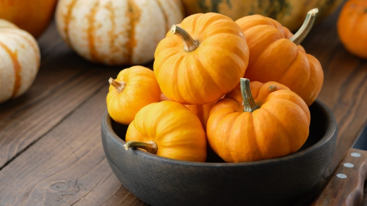 29 Fall Decor Tips for a Warm, Comfy & Inviting Home 7 29 Fall Decor Tips for a Warm, Comfy & Inviting Home - bowl of mini pumpkin on wooden kitchen table ss2231424967