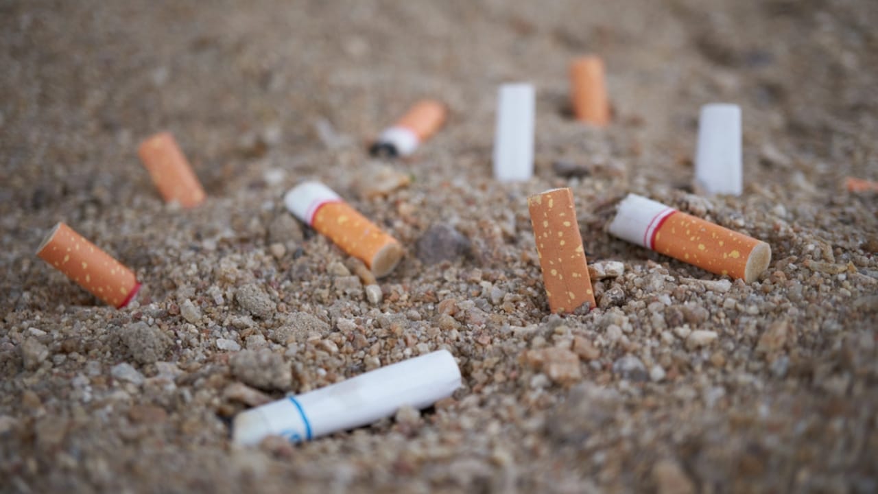 15 Household Hazards You Didn’t Know Could Harm Your Cat 16 15 Household Hazards You Didn’t Know Could Harm Your Cat - cigarette dp167366300