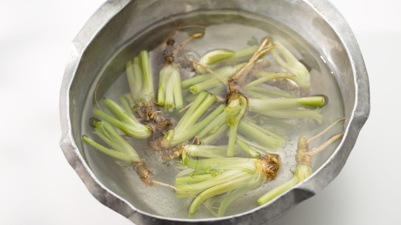 Don't Toss Those Veggie Scraps— 12 Vegetables You Can Regrow for Free 12 Don't Toss Those Veggie Scraps— 12 Vegetables You Can Regrow for Free - cilantro roots ss2411929055