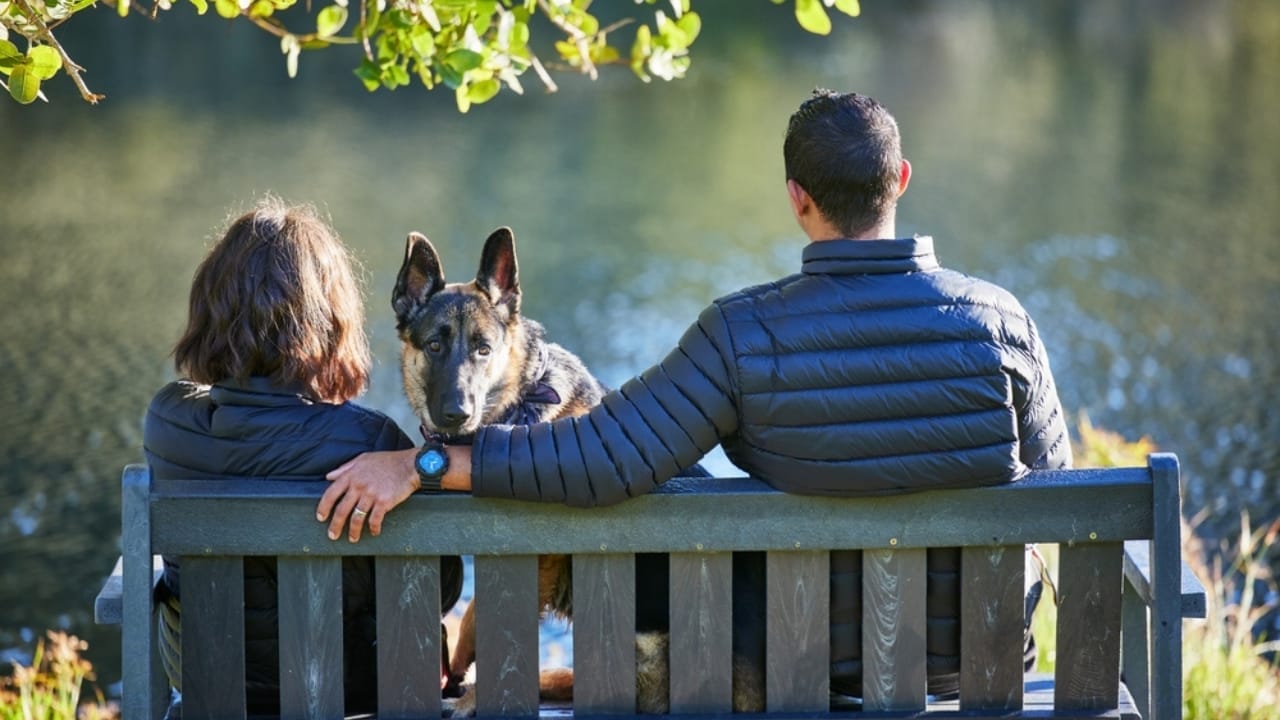 Inmates & Shelter Dogs Find Redemption Through PAWS Program 5 Inmates & Shelter Dogs Find Redemption Through PAWS Program - couple sitting on a bench with their dog ss2169741435