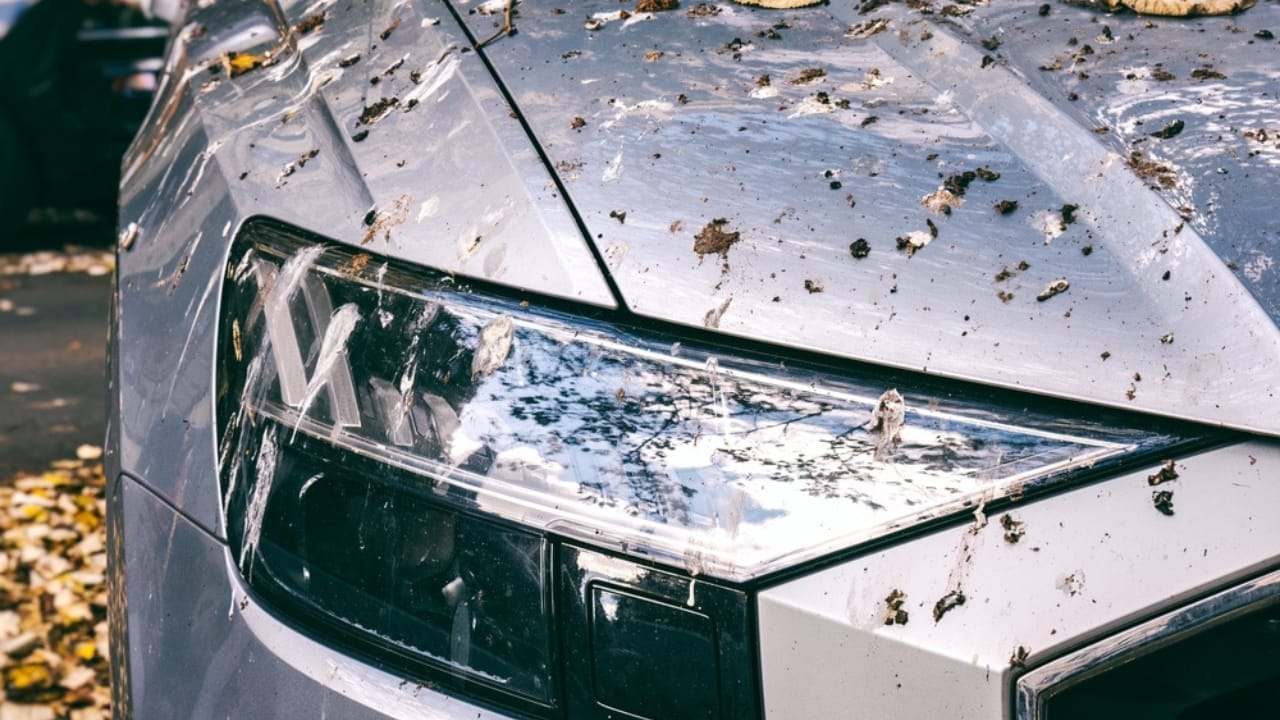 10 Spiritual Messages Behind Birds’ Bathroom Breaks on Your Car 12 10 Spiritual Messages Behind Birds’ Bathroom Breaks on Your Car - dirty car ss2221114215