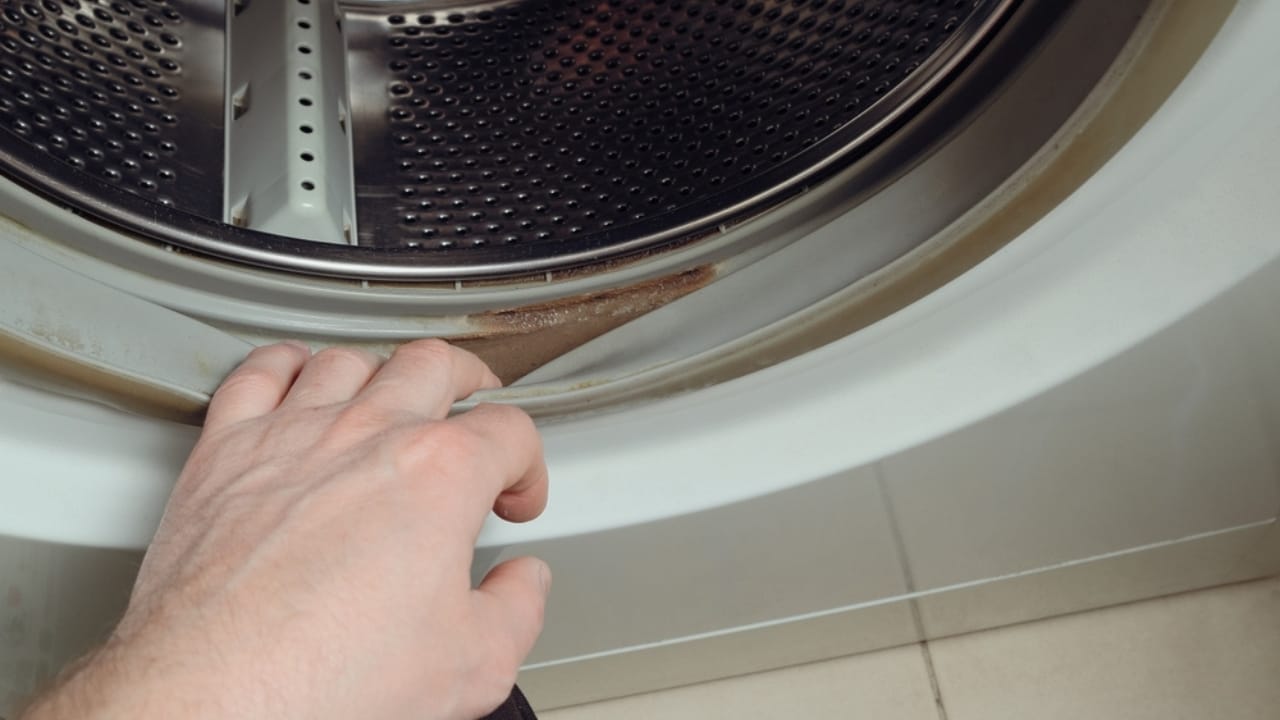 10 Common Cleaning Mistakes That Are Making Your Home Dirtier 10 10 Common Cleaning Mistakes That Are Making Your Home Dirtier - dirty moldy washing machine ss2445130721