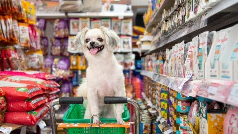 18 Stores Where Your Dog Gets VIP Treatment - dog in cart pet shop ss2096171632