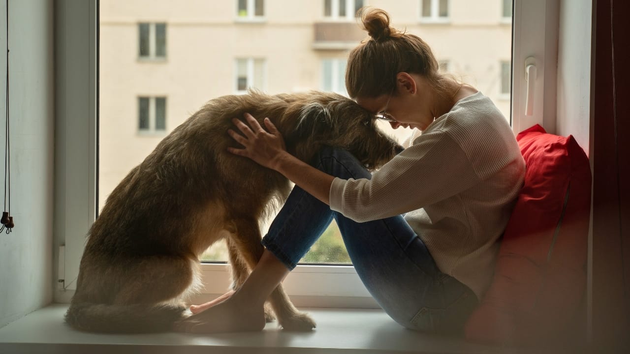 Third Wave of Dog Domestication: Scientists Show How Oxytocin May Shape the Perfect Pet - dog with depressed owner ss1841622688