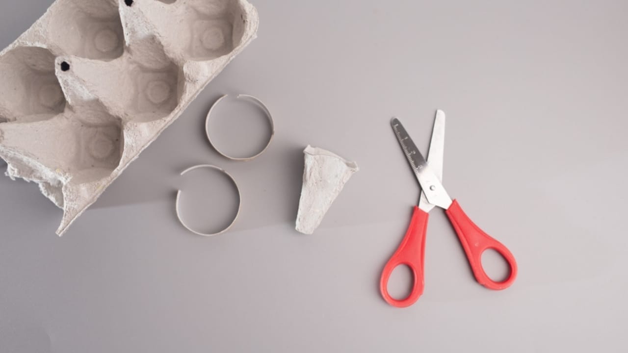 Repurpose an Egg Carton into a Simple Hummingbird Feeder 6 Repurpose an Egg Carton into a Simple Hummingbird Feeder - eggcarton scissors ss2446290089