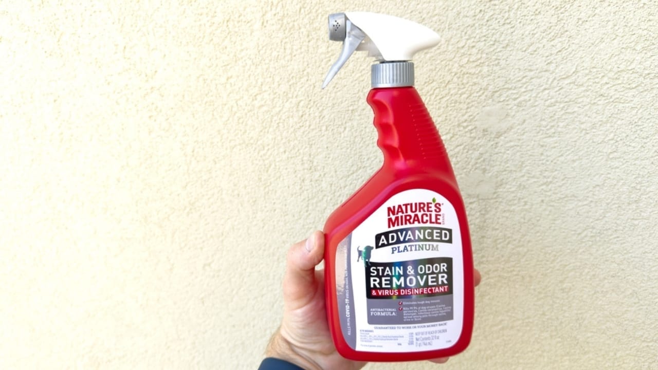 18 Simple Ways to Keep Your Home Smelling Fresh & Inviting 17 18 Simple Ways to Keep Your Home Smelling Fresh & Inviting - enzymatic cleaner ss2367009627