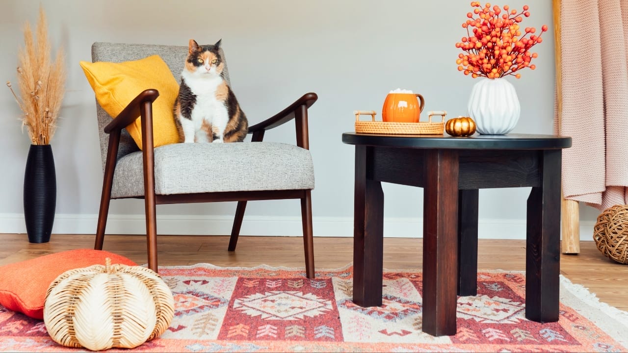Fall Decor on a Budget: 18 Creative Ways to Keep Your Space Warm & Inviting 19 Fall Decor on a Budget: 18 Creative Ways to Keep Your Space Warm & Inviting - fall home decor ss2348304859