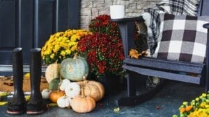 8 Ways to Make Your Porch a Welcoming Outdoor Escape 1 8 Ways to Make Your Porch a Welcoming Outdoor Escape - fall plants container potted ss2180857107