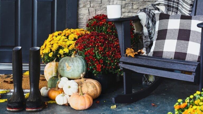 8 Ways to Make Your Porch a Welcoming Outdoor Escape 8 8 Ways to Make Your Porch a Welcoming Outdoor Escape - fall plants container potted ss2180857107