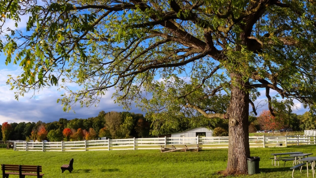 25 Affordable Small Towns You'll Love for Retirement 19 25 Affordable Small Towns You'll Love for Retirement - farmington dp684085062