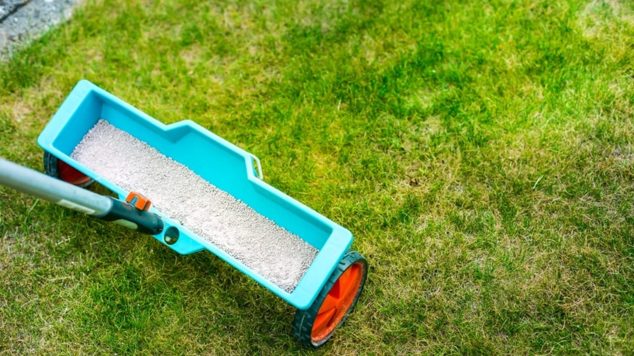 15 Ways to Get Your Garden Frost-Ready Before It’s Too Late 9 15 Ways to Get Your Garden Frost-Ready Before It’s Too Late - fertilize lawn ss2167229393