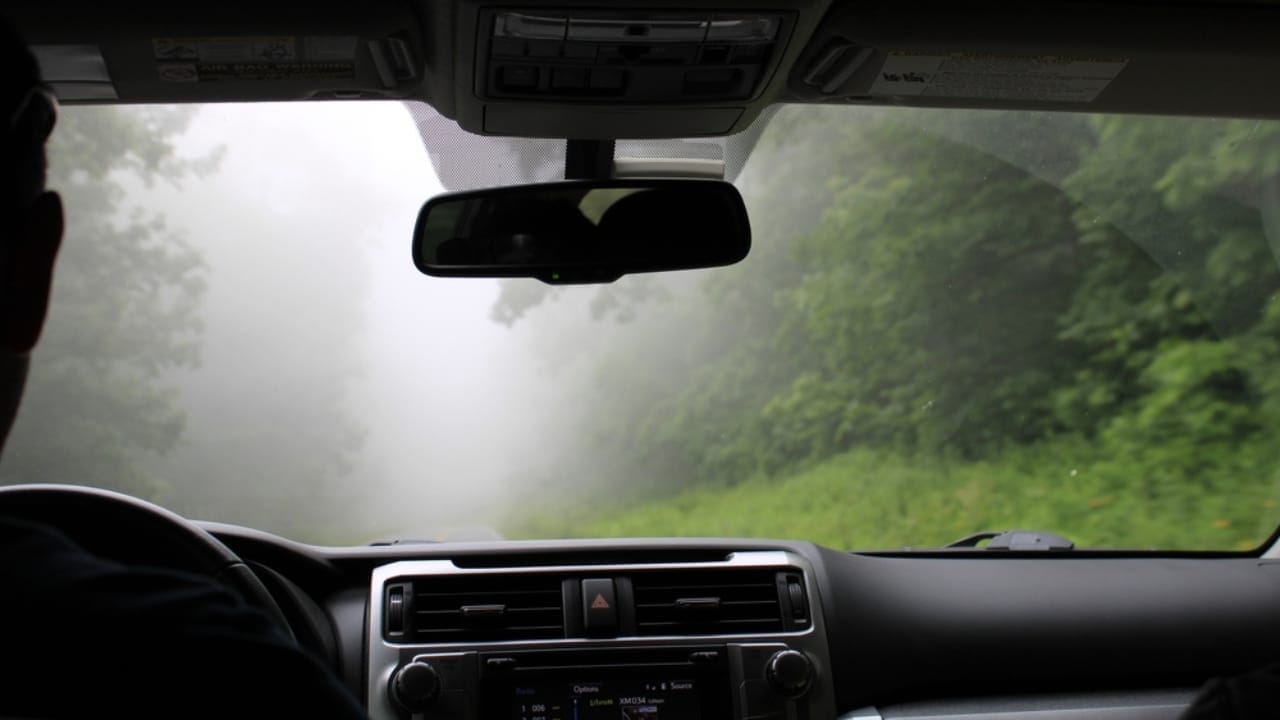 Cat Litter Isn’t Just for Cats: 10 Other Creative Alternative Uses 10 Cat Litter Isn’t Just for Cats: 10 Other Creative Alternative Uses - foggy windshield ss2497013877