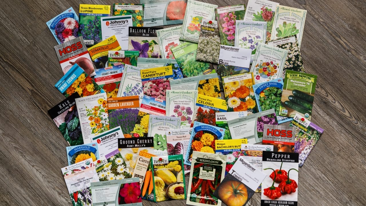 $22M Company Ditches Profits to Give Away Garden Seeds & 9 More Ways to Score Free Seeds 8 $22M Company Ditches Profits to Give Away Garden Seeds & 9 More Ways to Score Free Seeds - garden seeds ss1915026937