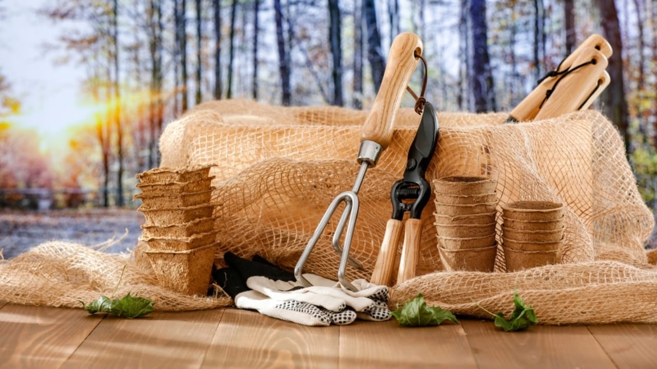 15 Essential Fall Gardening Tools & Resources for a Thriving Autumn Garden 17 15 Essential Fall Gardening Tools & Resources for a Thriving Autumn Garden - garden tools autumn landscape background ss2497547903
