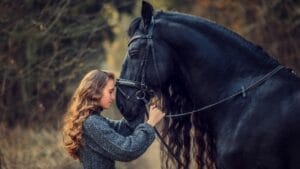 15 Enduring Horse Breeds with Lifespans as Strong as Their Spirit 1 15 Enduring Horse Breeds with Lifespans as Strong as Their Spirit - girl with black Friesian horse ss2105103869