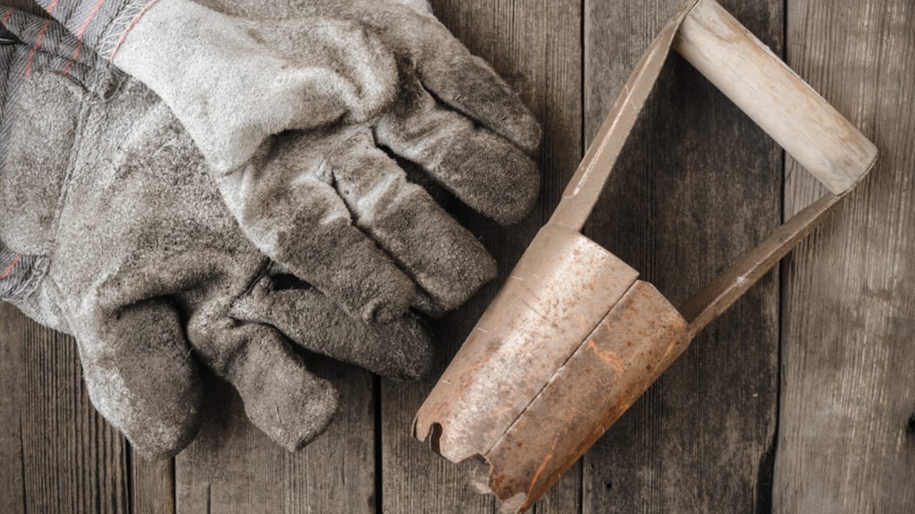 15 Essential Fall Gardening Tools & Resources for a Thriving Autumn Garden 5 15 Essential Fall Gardening Tools & Resources for a Thriving Autumn Garden - gloves and bulb planter gardening tools dp61522275