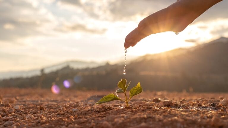 16 Unexpected Places to Find Water in an Emergency 5 16 Unexpected Places to Find Water in an Emergency - hand water ss1569506452