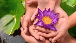 You’ve Seen These 18 Beautiful Flowers, But Here’s What They Mean 1 You’ve Seen These 18 Beautiful Flowers, But Here’s What They Mean - hands holding purple lotus flower ss1215135502