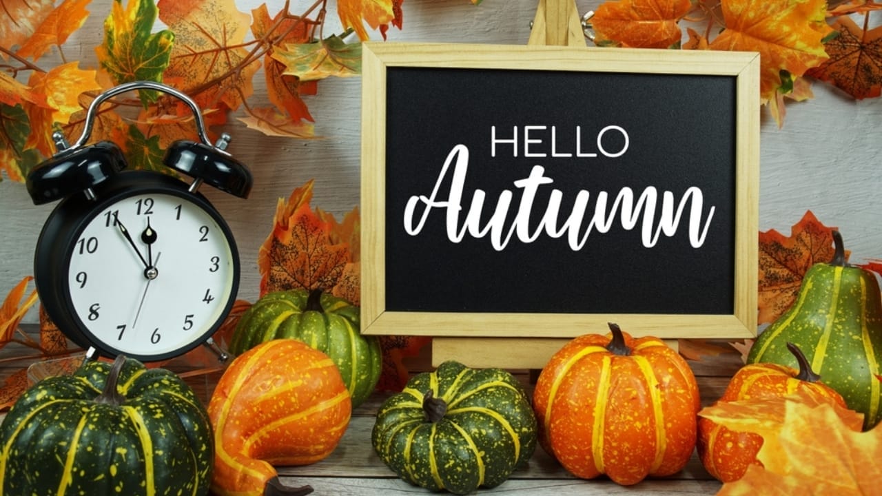 Cozy Fireplace Vibes: 25 Fall Mantel Decor Ideas for 2024 5 Cozy Fireplace Vibes: 25 Fall Mantel Decor Ideas for 2024 - hello autumn with maple leaf and pumpkin ss2480440989