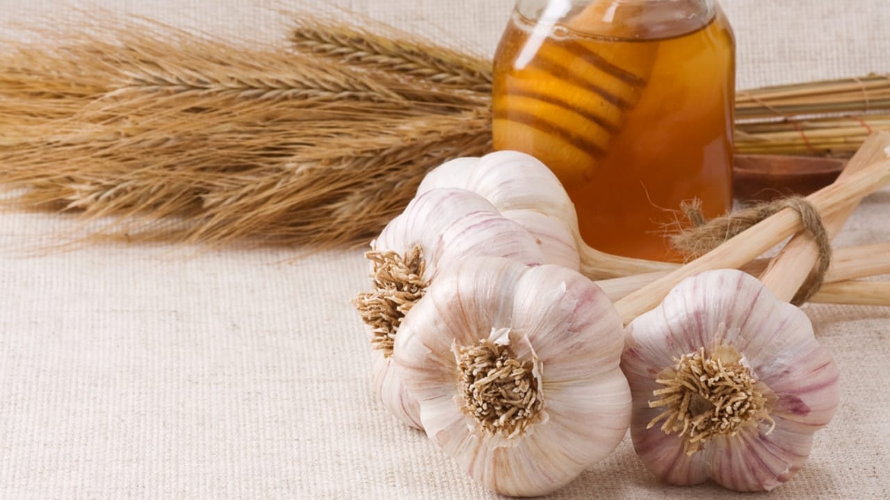 Honey & Garlic: A Health-Boosting Duo with Possible Dangers 3 Honey & Garlic: A Health-Boosting Duo with Possible Dangers - honey garlic and wheat dp11010426