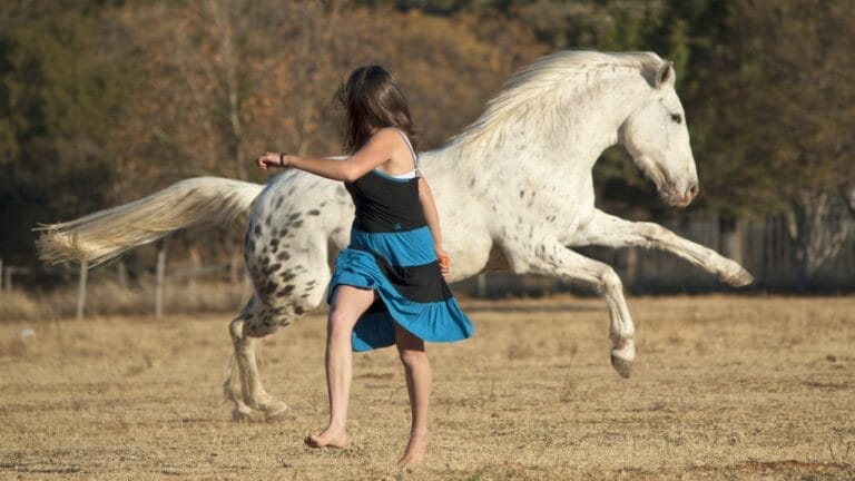 The 10 Worst Horse Breeds for Beginner Riders 3 The 10 Worst Horse Breeds for Beginner Riders - horse rider ss108896231