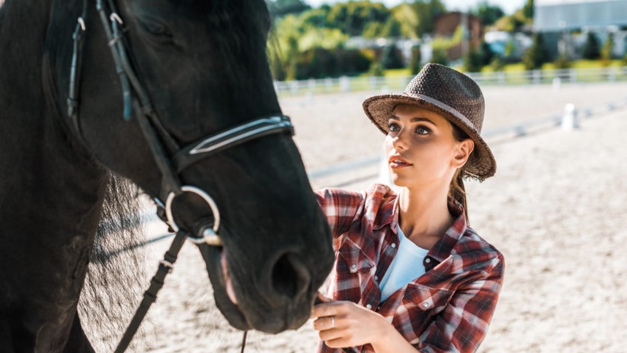 Bridling Beliefs: How Owners’ Views Impact the Welfare of Working Horses 4 Bridling Beliefs: How Owners’ Views Impact the Welfare of Working Horses - horse bridle dp214631384