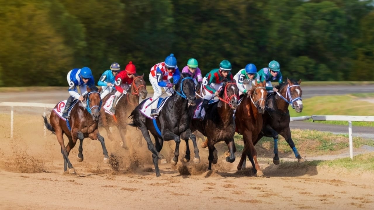 15 Wild Horse Facts Straight from History’s Pages 6 15 Wild Horse Facts Straight from History’s Pages - horse racing ss2252056335