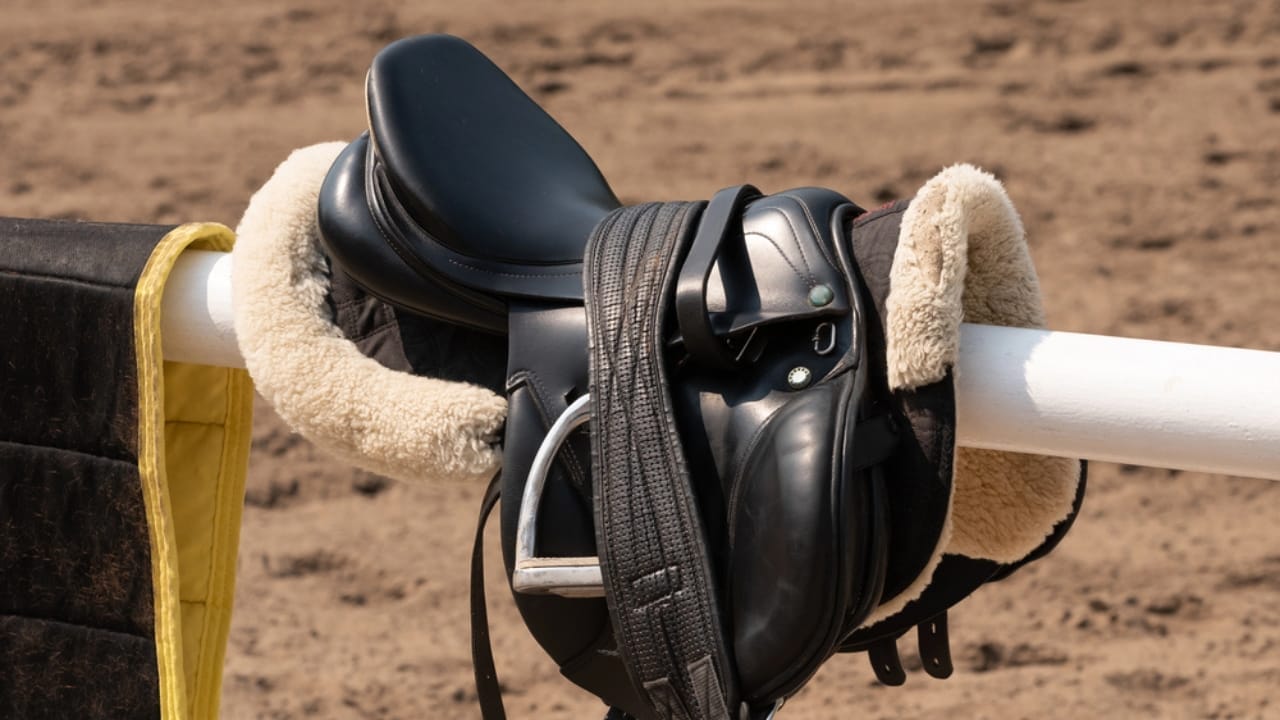 50+ Horse Terms & Slang Every Equestrian Should Know 32 50+ Horse Terms & Slang Every Equestrian Should Know - horse saddle dp275661610