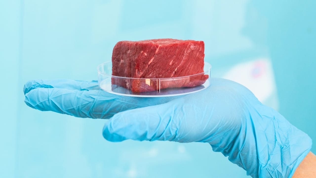 States Takes Action on Lab-Grown Meat as Bans Sweep the Nation 4 States Takes Action on Lab-Grown Meat as Bans Sweep the Nation - lab grown meat ss2174552013