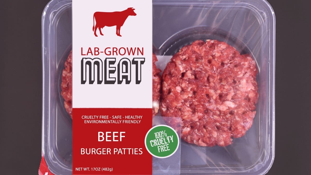 States Takes Action on Lab-Grown Meat as Bans Sweep the Nation 2 States Takes Action on Lab-Grown Meat as Bans Sweep the Nation - lab grown meat ss2227812413